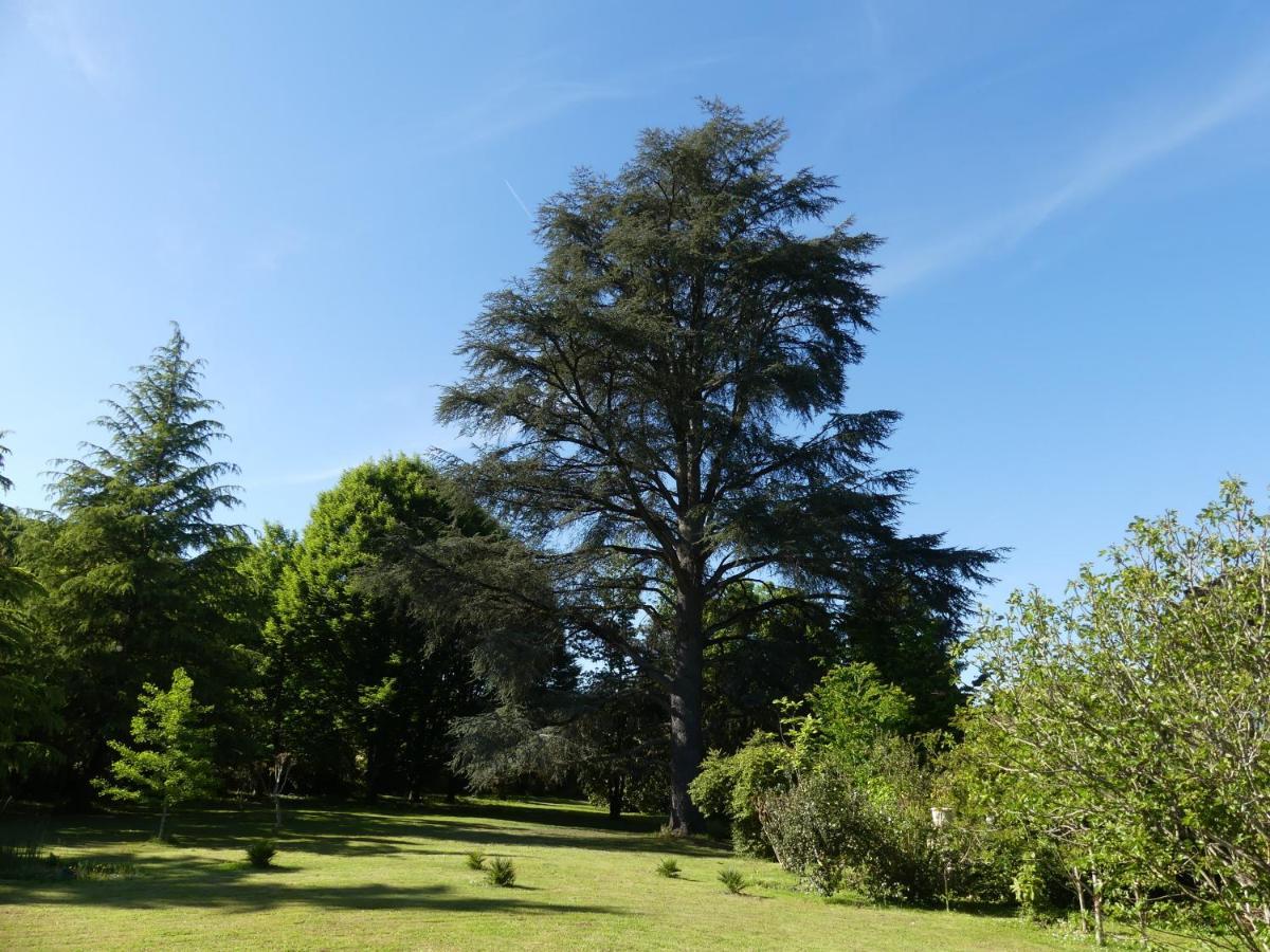 Le Petit Chateau - Adults Only Property Le Bugue Buitenkant foto